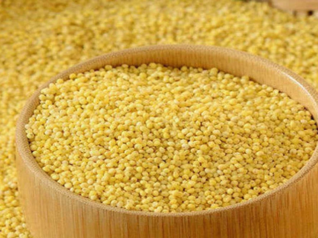 Proso Millet
